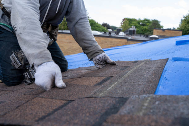 Best Metal Roofing Contractor  in Arcola, IL
