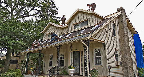Professional Roofing Contractor in Arcola, IL