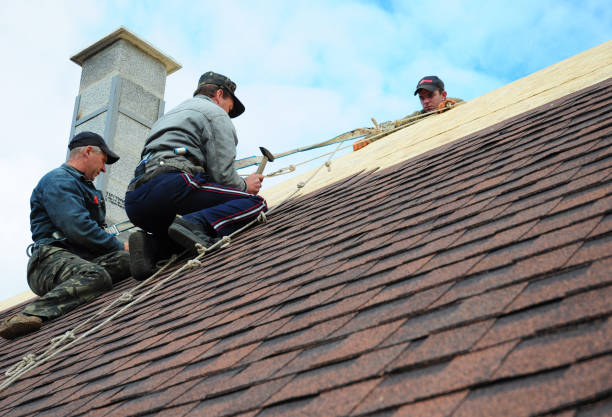 Best Storm Damage Roof Repair  in Arcola, IL