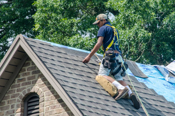 Best Shingle Roofing Installation  in Arcola, IL